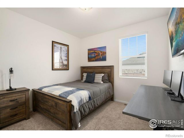 2034 Bouquet Drive, Windsor, CO 80550
