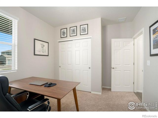 2034 Bouquet Drive, Windsor, CO 80550