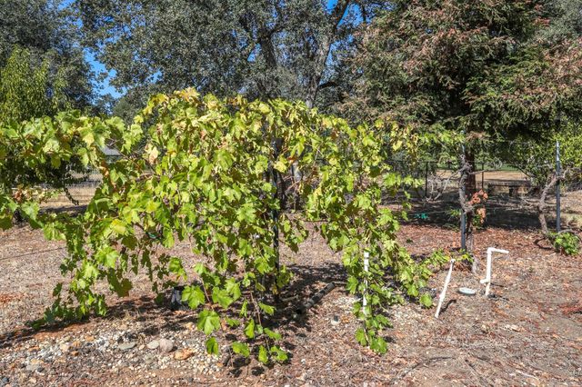 6639 Riata Drive, Redding, CA 96002