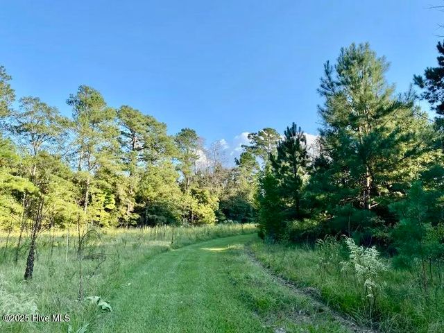 Tbd Sandhill Road, Rockingham, NC 28379