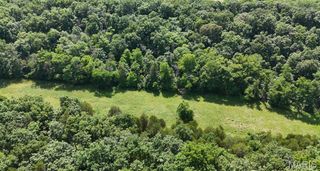 12 Tanglefoot Farms Road, Festus, MO 63028
