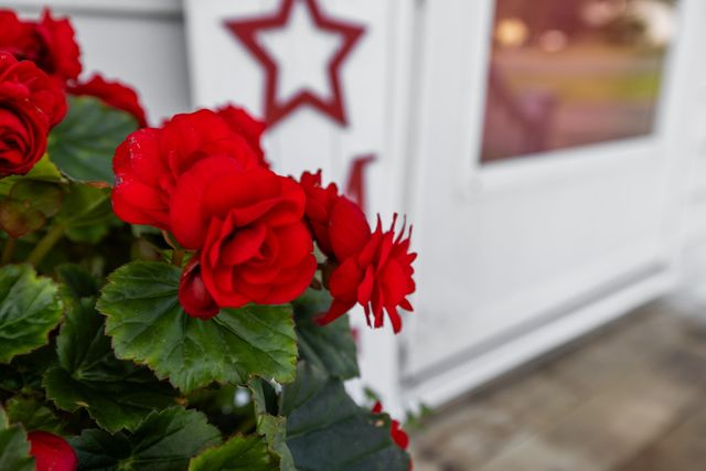 57 GREENBRIAR LN, Stuarts Draft, VA 24477