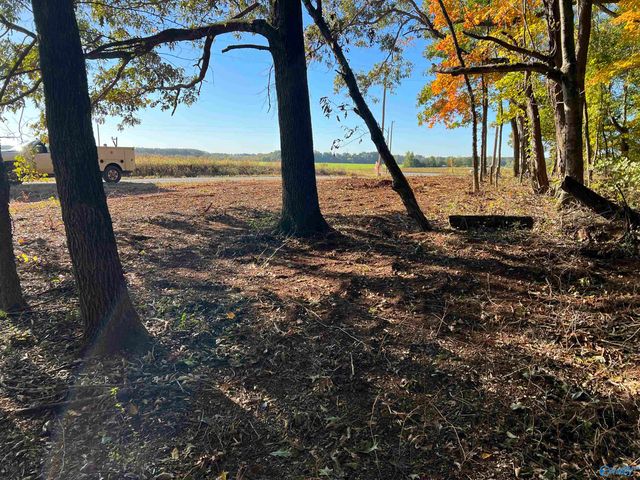 12081 Pecan Grove Way, Athens, AL 35613