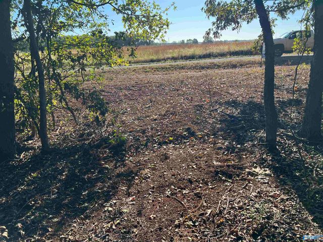 12081 Pecan Grove Way, Athens, AL 35613