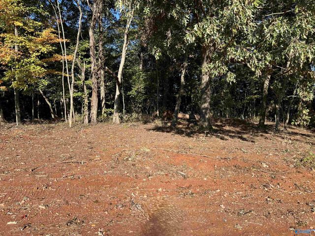 12081 Pecan Grove Way, Athens, AL 35613
