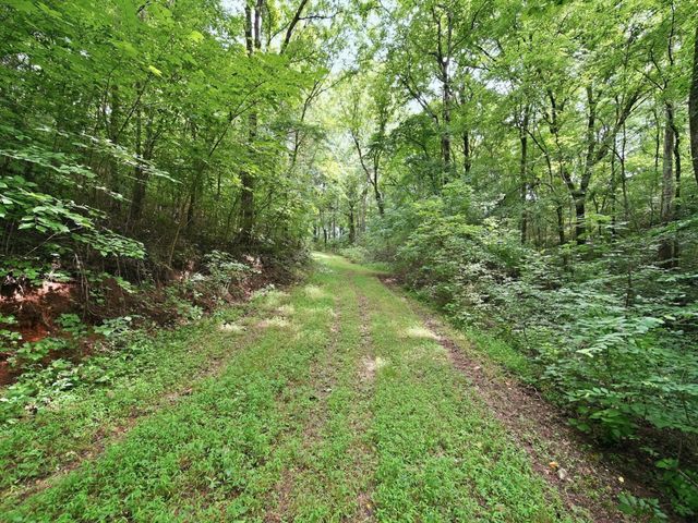 168 Sherfield Rd, Fayetteville, TN 37334