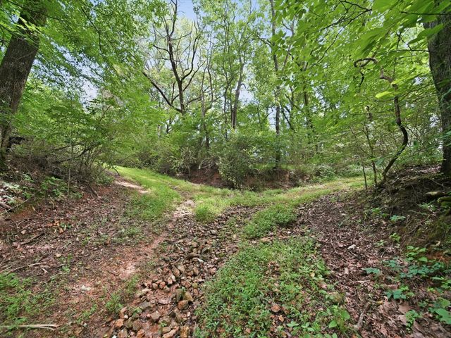 168 Sherfield Rd, Fayetteville, TN 37334