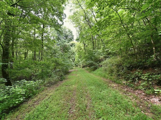 168 Sherfield Rd, Fayetteville, TN 37334