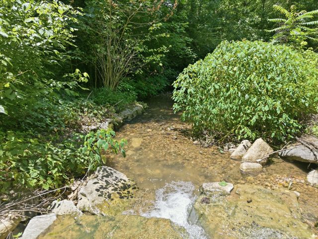 168 Sherfield Rd, Fayetteville, TN 37334