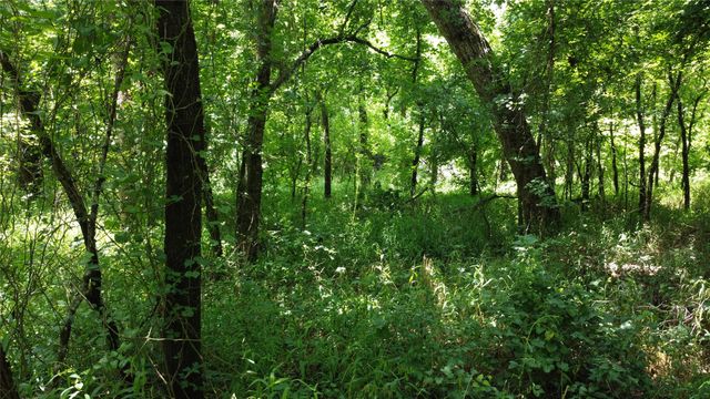 527 Copperas Road, Whitesboro, TX 76264