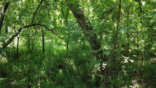 527 Copperas Road, Whitesboro, TX 76264