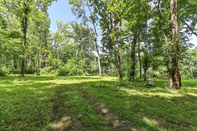 811 Rainbow Valley Drive, Highlandville, MO 65669