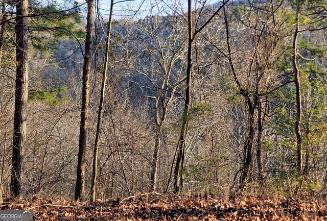 137 Abe Court, Ranger, GA 30734