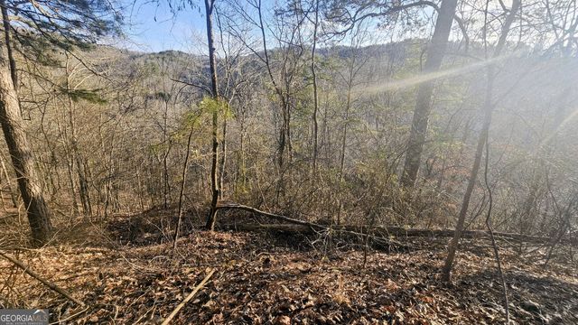 137 Abe Court, Ranger, GA 30734