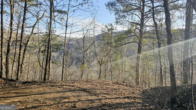 137 Abe Court, Ranger, GA 30734