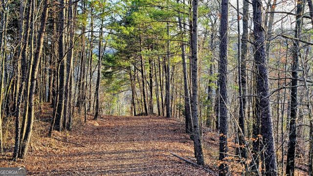 137 Abe Court, Ranger, GA 30734