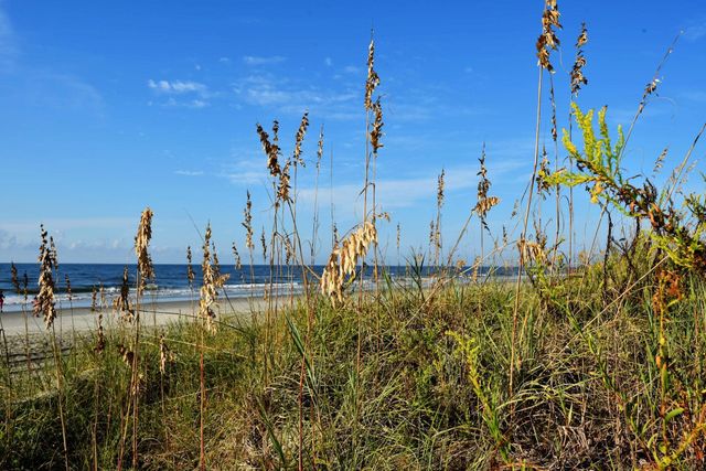 1607 Havens Dr., North Myrtle Beach, SC 29582