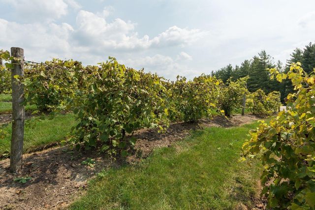 9066 Mediterra Place, Dublin, OH 43016