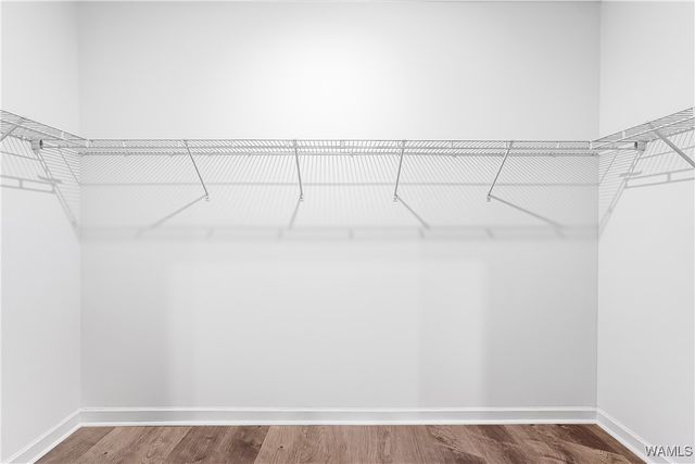 11163 Snapdragon Cove, Tuscaloosa, AL 35405