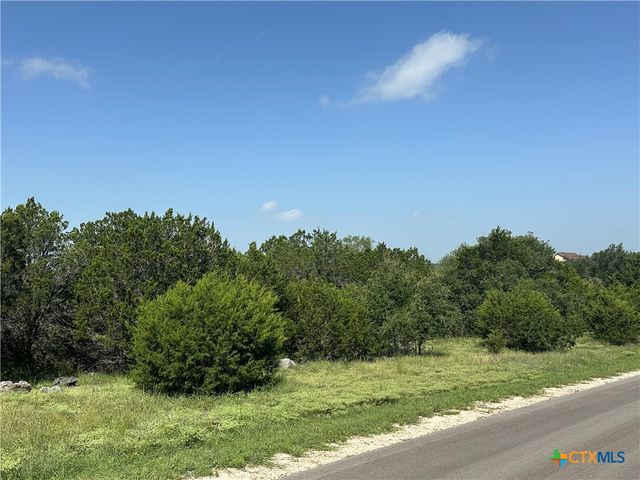1231 Mystic Shores Boulevard, Spring Branch, TX 78070