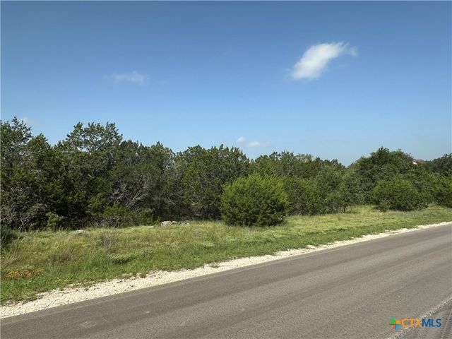 1231 Mystic Shores Boulevard, Spring Branch, TX 78070
