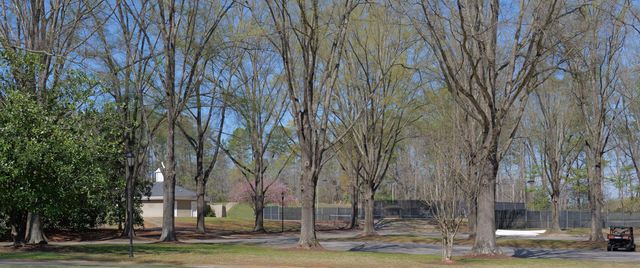 106 Carolina Club Drive, Spartanburg, SC 29306