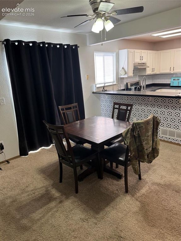950 Square Dance Lane, Fountain, CO 80817 — photo 4
