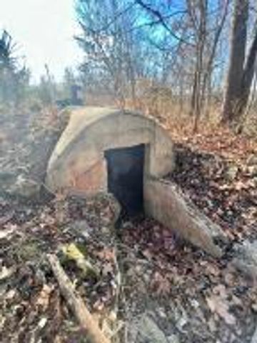 8785 St. George Road, Hartville, MO 65667