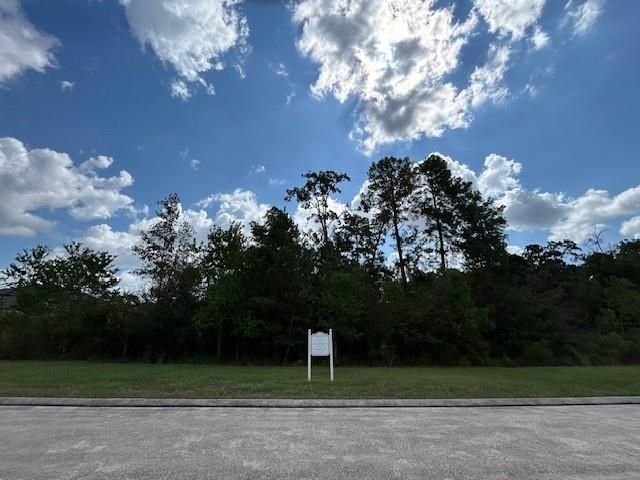 141 Kings Lake Estates Boulevard, Humble, TX 77346