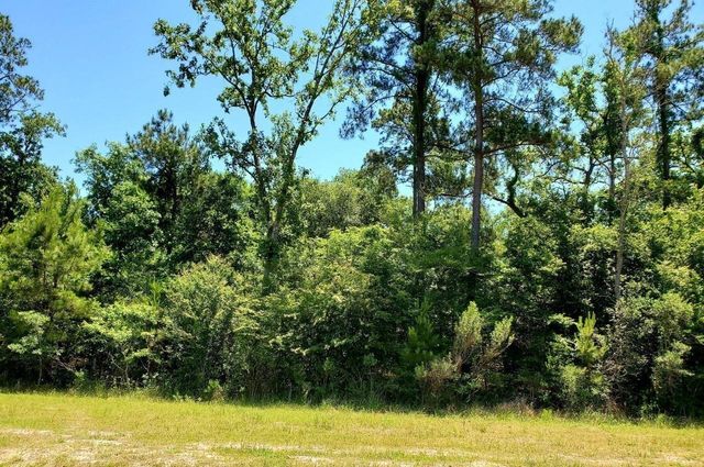 141 Kings Lake Estates Boulevard, Humble, TX 77346