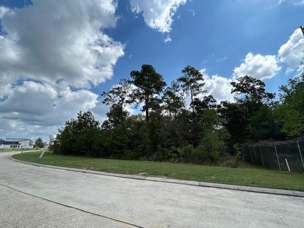 141 Kings Lake Estates Boulevard, Humble, TX 77346