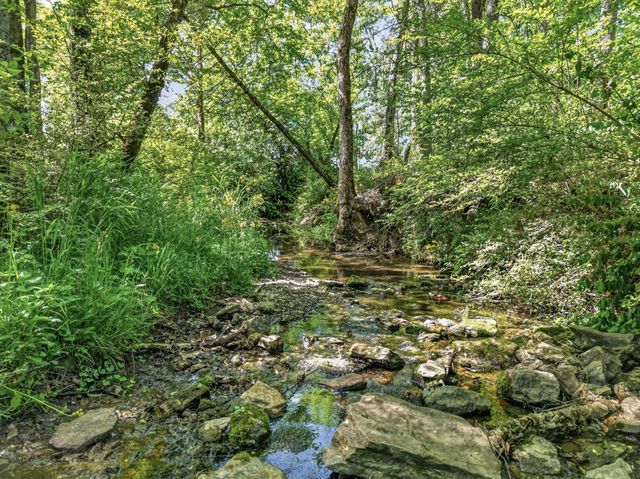 1601 Swanson Blvd, Fayetteville, TN 37334