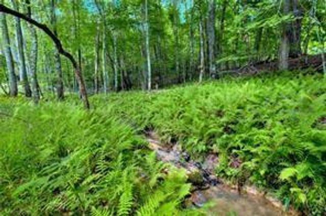 18131 Morganton Highway, Morganton, GA 30560