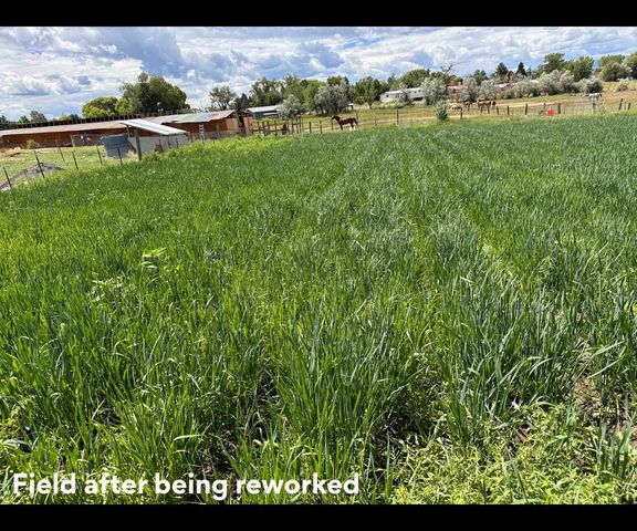 403 6600 Road, Montrose, CO 81401