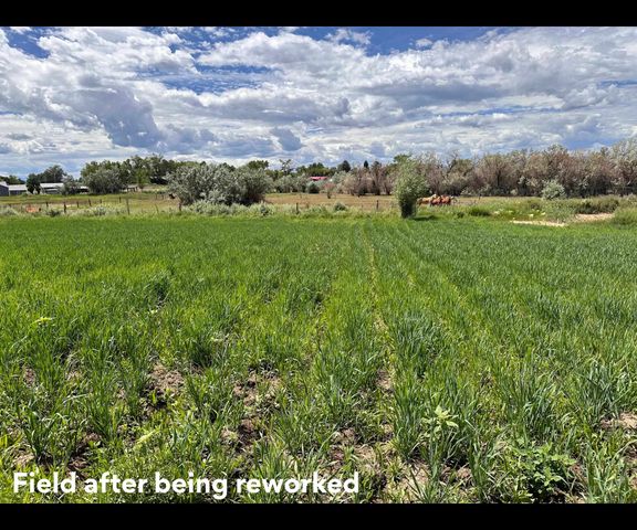 403 6600 Road, Montrose, CO 81401