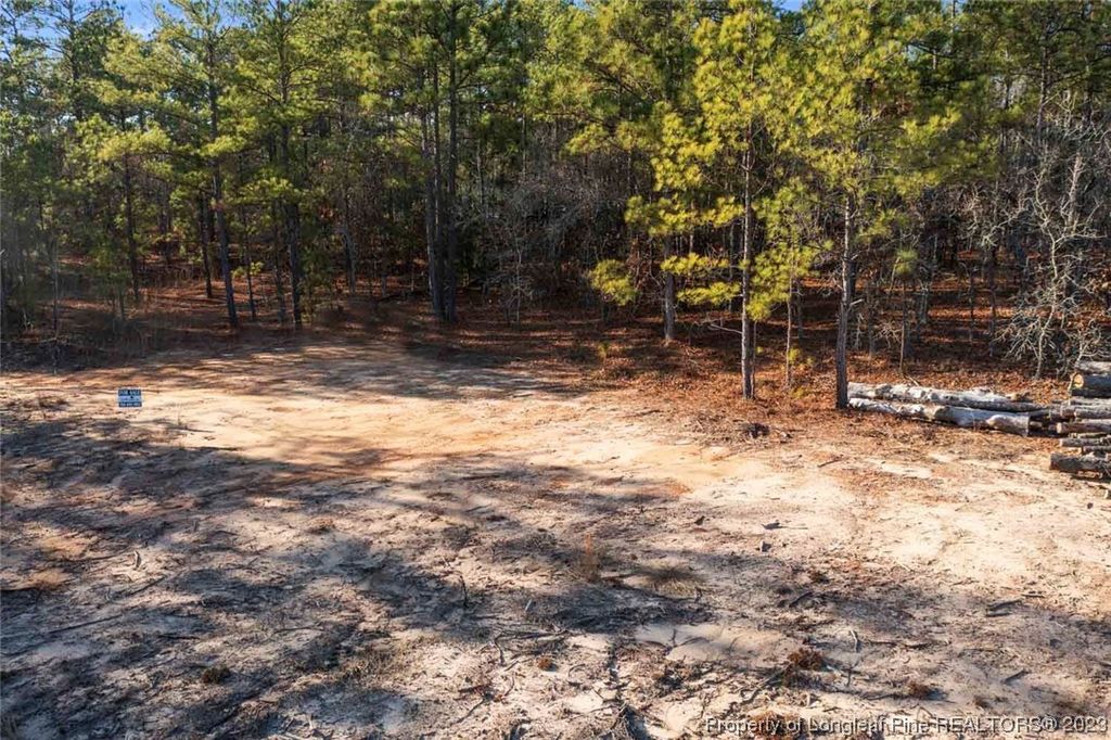 Cherrywood Lane, Cameron, NC 28326 — photo 10