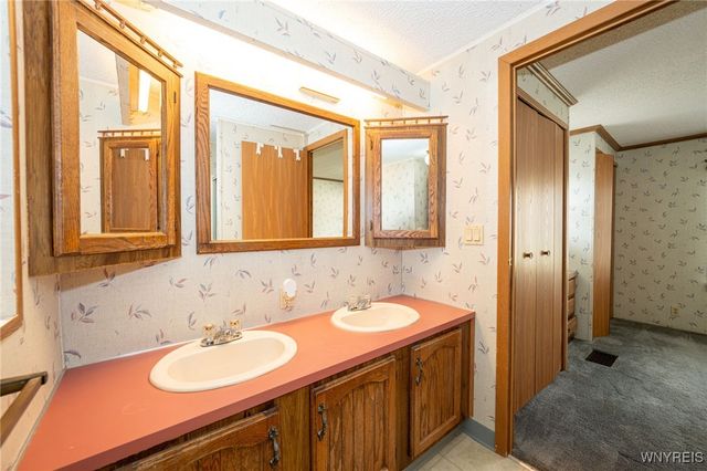 17 Rippleway Drive, Hamburg, NY 14075