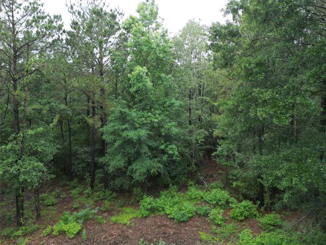 268 Cedar Valley Road, Coldspring, TX 77331