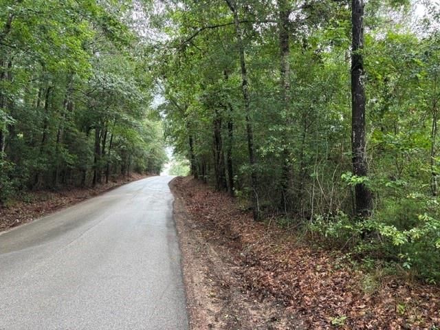 268 Cedar Valley Road, Coldspring, TX 77331