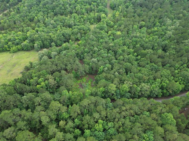 268 Cedar Valley Road, Coldspring, TX 77331