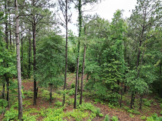 268 Cedar Valley Road, Coldspring, TX 77331