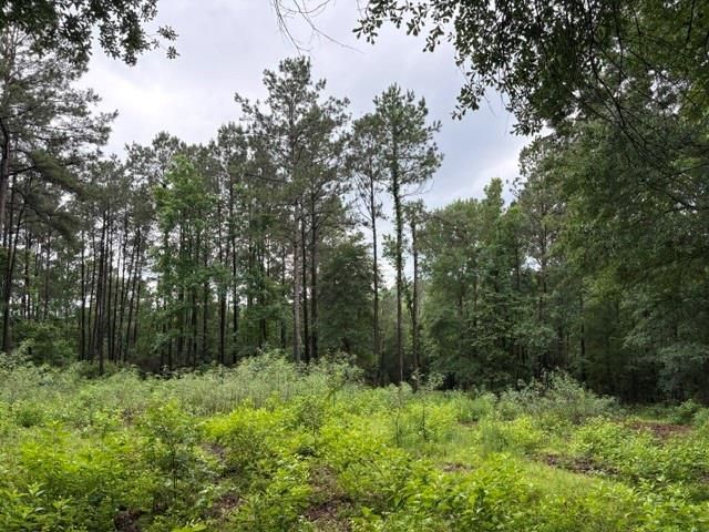 268 Cedar Valley Road, Coldspring, TX 77331