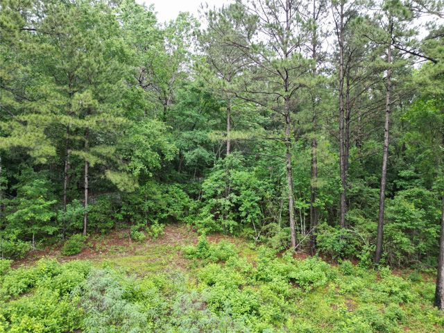 268 Cedar Valley Road, Coldspring, TX 77331