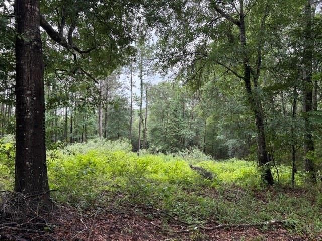 268 Cedar Valley Road, Coldspring, TX 77331