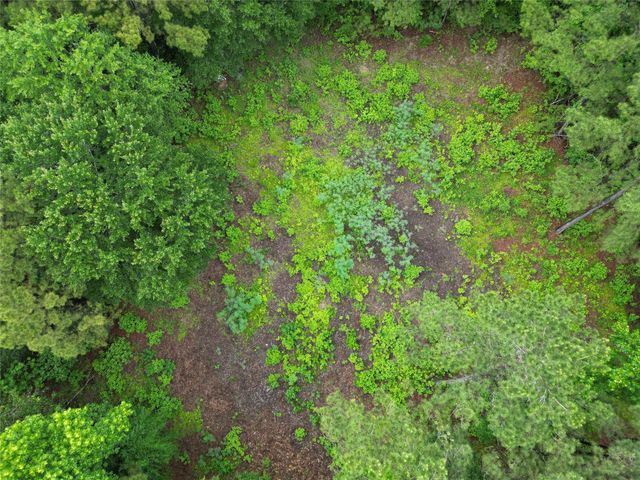 268 Cedar Valley Road, Coldspring, TX 77331
