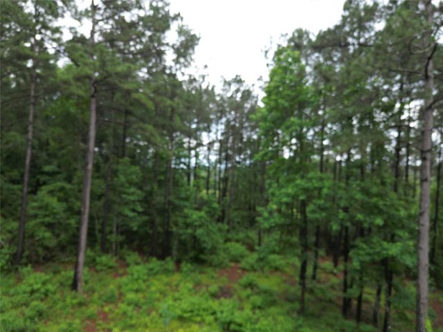268 Cedar Valley Road, Coldspring, TX 77331