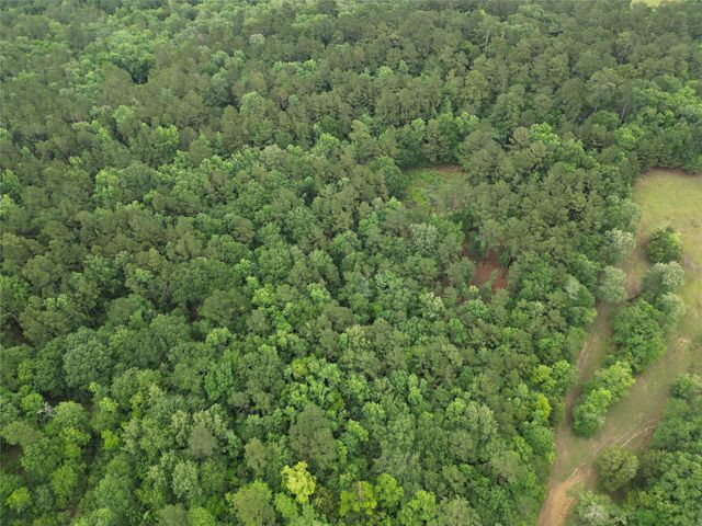 268 Cedar Valley Road, Coldspring, TX 77331