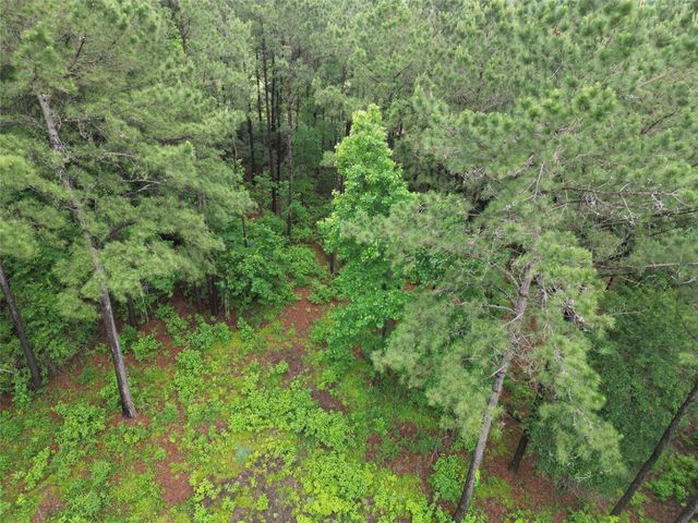 268 Cedar Valley Road, Coldspring, TX 77331