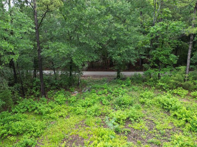 268 Cedar Valley Road, Coldspring, TX 77331