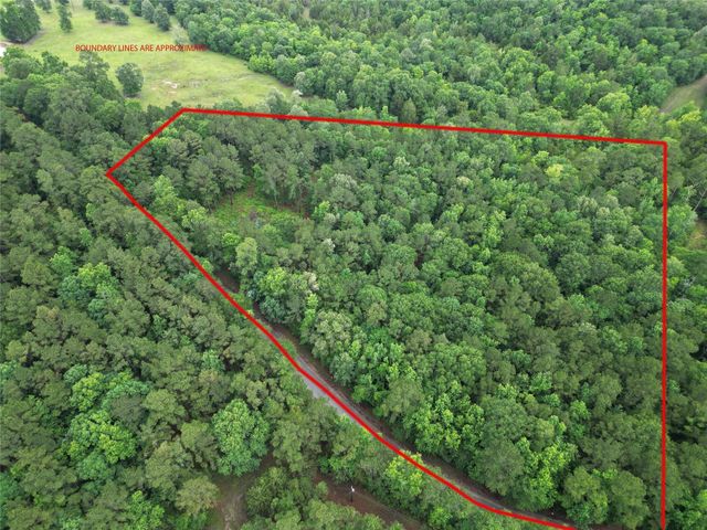 268 Cedar Valley Road, Coldspring, TX 77331